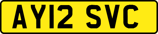 AY12SVC