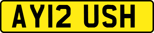 AY12USH