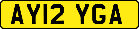 AY12YGA