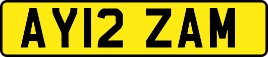 AY12ZAM