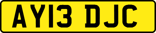 AY13DJC