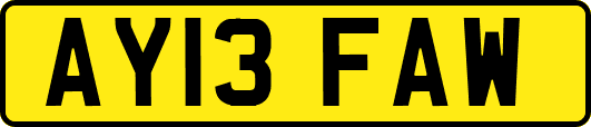 AY13FAW