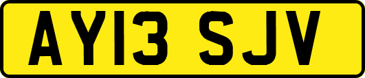 AY13SJV
