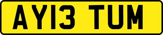 AY13TUM