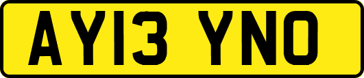 AY13YNO