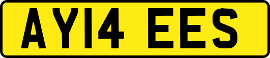 AY14EES