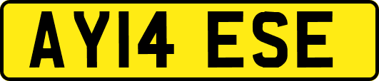 AY14ESE