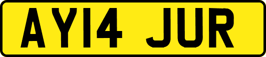 AY14JUR