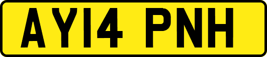 AY14PNH