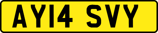 AY14SVY