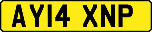 AY14XNP