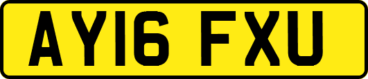 AY16FXU