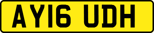 AY16UDH