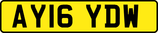 AY16YDW