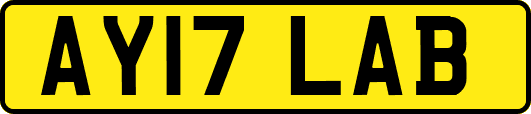 AY17LAB