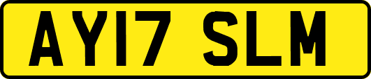 AY17SLM