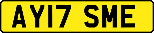 AY17SME