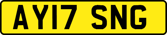AY17SNG