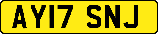 AY17SNJ