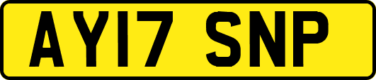 AY17SNP