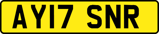 AY17SNR