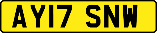 AY17SNW