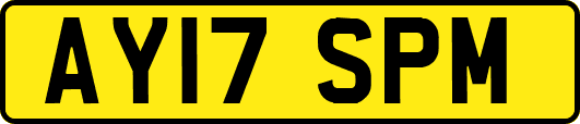 AY17SPM