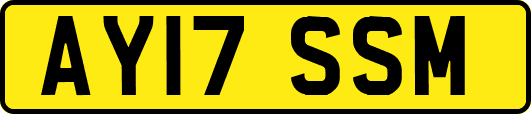 AY17SSM