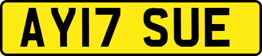 AY17SUE