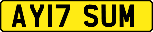 AY17SUM