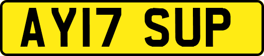 AY17SUP