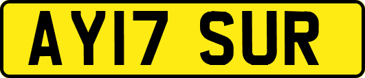 AY17SUR