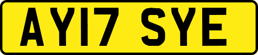AY17SYE