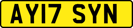 AY17SYN