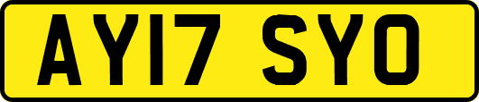 AY17SYO