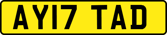 AY17TAD