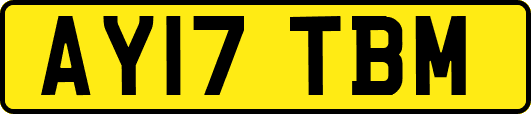 AY17TBM