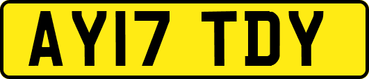 AY17TDY