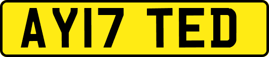 AY17TED