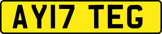 AY17TEG