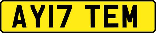 AY17TEM