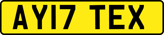 AY17TEX