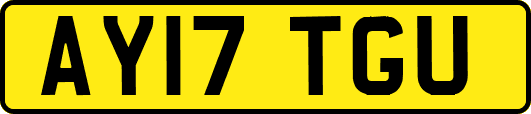AY17TGU