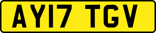 AY17TGV
