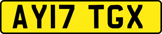 AY17TGX