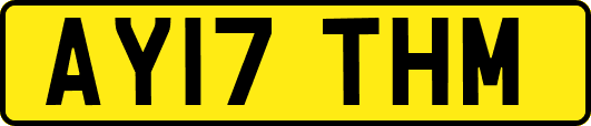AY17THM