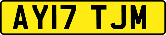 AY17TJM