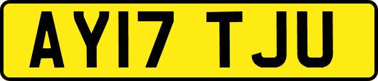 AY17TJU