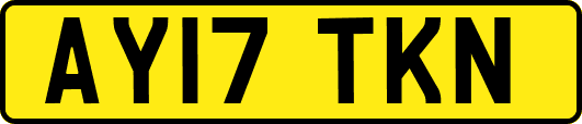 AY17TKN