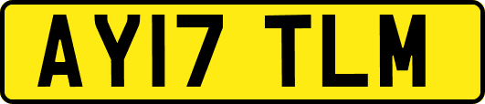 AY17TLM